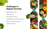 301338-organic-food-09