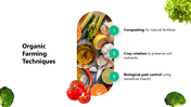 301338-organic-food-13
