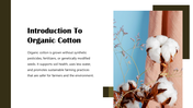 301345-organic-cotton-02