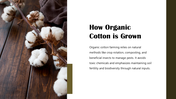 301345-organic-cotton-03