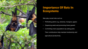 301349-bat-appreciation-day-05