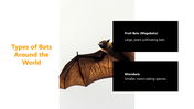 301349-bat-appreciation-day-06