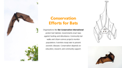 301349-bat-appreciation-day-09
