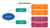 301353-bioremediation-04