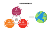 301353-bioremediation-05
