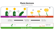 301356-plants-hormone-02