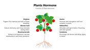 301356-plants-hormone-04