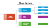 301356-plants-hormone-05