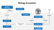 301367-biology-ecosystem-02