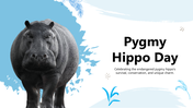 301374-pygmy-hippo-day-01
