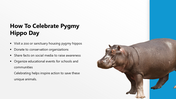 301374-pygmy-hippo-day-10