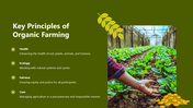301380-organic-farming-presentation-03