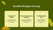 301380-organic-farming-presentation-04