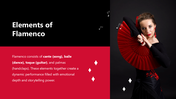 301407-international-flamenco-day-04