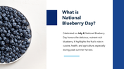 301426-national-blueberry-day-02