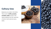 301426-national-blueberry-day-05