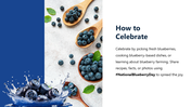 301426-national-blueberry-day-06