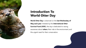 301433-happy-world-otter-day-02