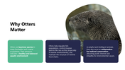 301433-happy-world-otter-day-03