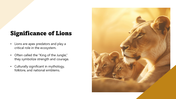 301436-world-lion-day-03