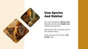 301436-world-lion-day-04