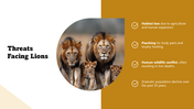 301436-world-lion-day-05