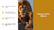 301436-world-lion-day-06