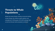301443-world-whale-day-04