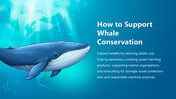 301443-world-whale-day-05