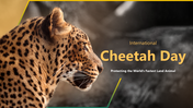 301450-international-cheetah-day-01