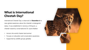 301450-international-cheetah-day-02