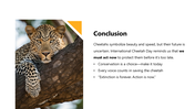 301450-international-cheetah-day-07