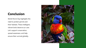 301472-world-parrot-day-07