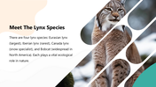 301480-international-lynx-day-03