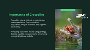 301490-world-crocodile-day-03
