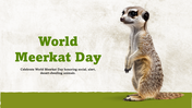 301527-world-meerkat-day-01
