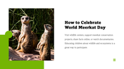 301527-world-meerkat-day-06