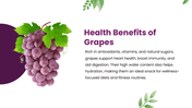 301535-national-grape-day-04