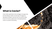 301555-national-caviar-day-03