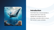 301584-world-manta-day-02