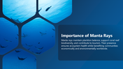 301584-world-manta-day-03