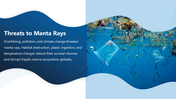 301584-world-manta-day-04