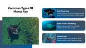301584-world-manta-day-05