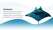 301584-world-manta-day-07