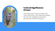 301606-international-owl-awareness-day-06