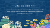 301607-biology-subject-for-high-school-coral-reef-02
