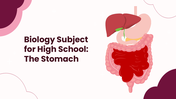301608-biology-subject-for-high-school-the-stomach-01