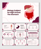 Biology Subject For High School The Stomach slides with organ diagrams, charts, tables, and text holders.
