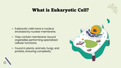 301609-biology-subject-for-high-school-eukaryotic-cell-03