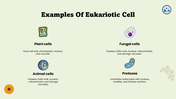 301609-biology-subject-for-high-school-eukaryotic-cell-04